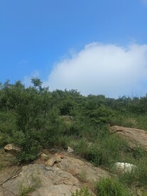 山路