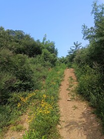 高山上的路