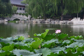 公园风景 