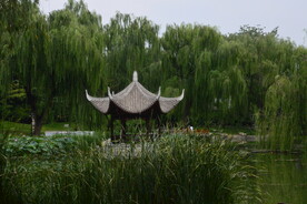 公园风景 
