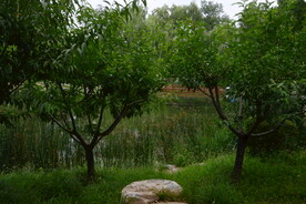 公园风景 