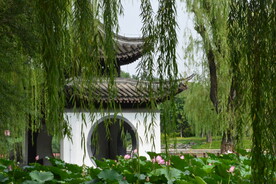 公园风景