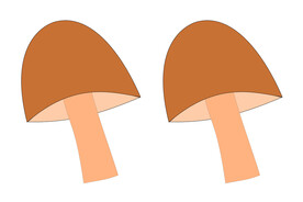 小蘑菇
