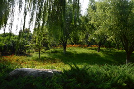 公园风景