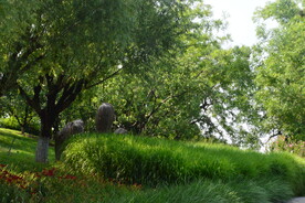 公园风景