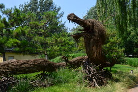 公园风景 