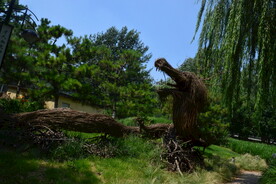 公园风景