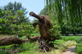公园风景