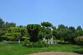 公园风景