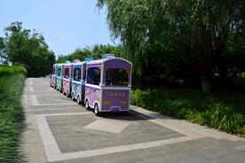 公园风景 