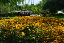 公园风景 