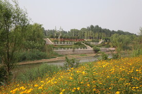 小清河