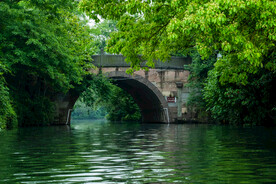 户外湖水树叶拱桥复古建筑