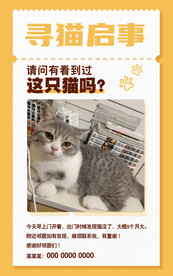 寻猫启事 