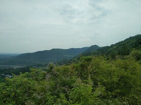 山顶