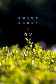 春分插画海报