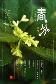 春分插画海报