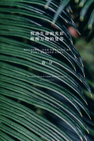 春分插画海报
