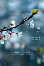 春分插画海报