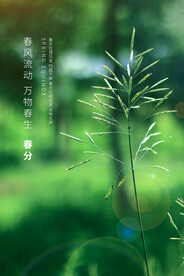 春分插画海报