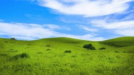 蓝天和草地