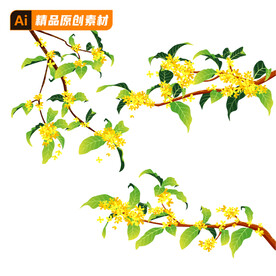 中秋桂花矢量插画