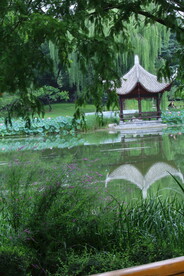 公园风景
