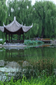 公园风景