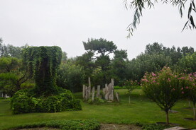 公园风景 