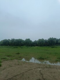 公园湿地