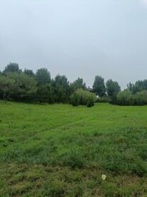 天空绿地公园