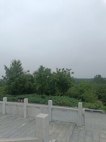 公园一角