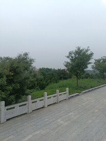 路边建筑