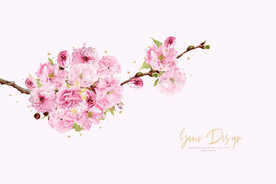 梅花樱花