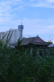 公园风景 