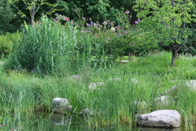 公园风景