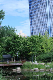 公园风景