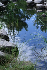 公园风景