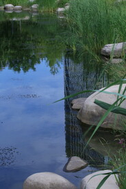 公园风景 