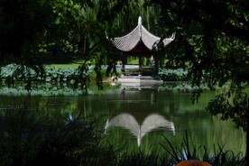 公园风景 