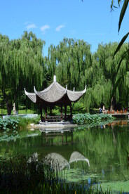 公园风景