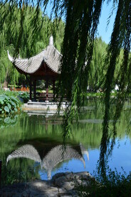 公园风景 