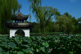 公园风景 