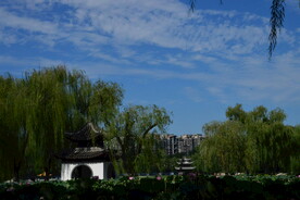 公园风景