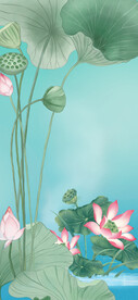 荷花
