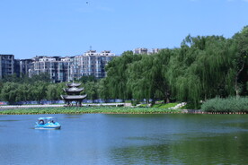 公园风景 