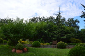 公园风景