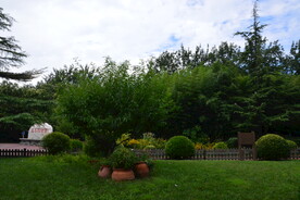 公园风景 