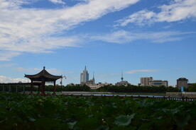 公园风景 