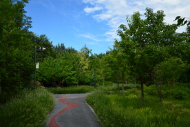 公园风景 